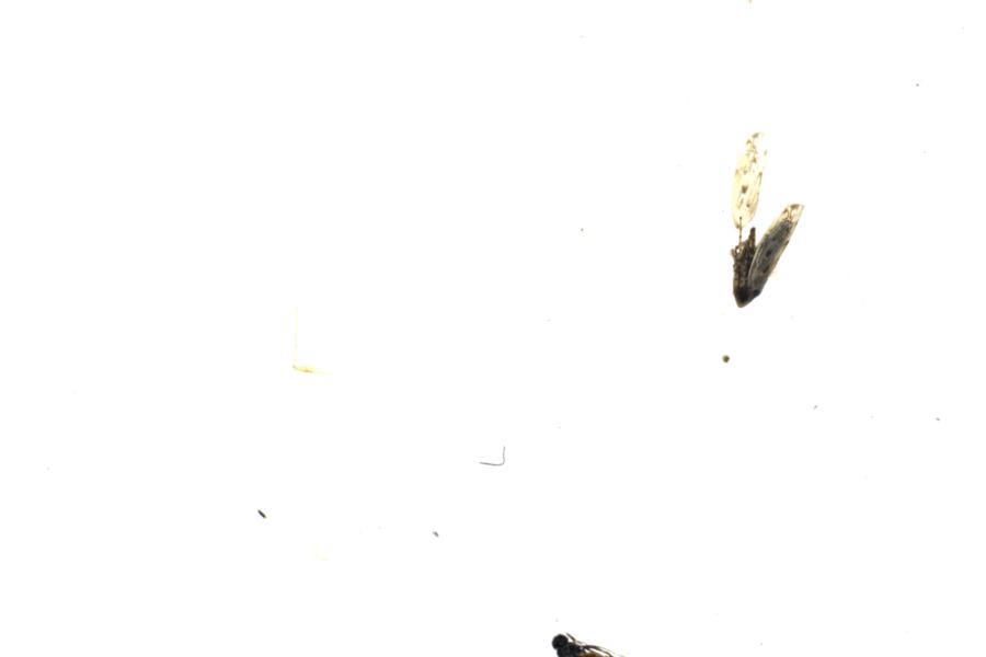 Image 105